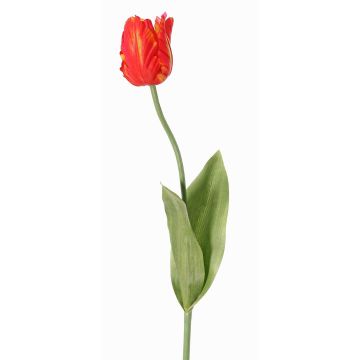 Kunstblume Papageientulpe UAKARI, rot-orange-grün, 65cm, Ø6cm Kunstblume Papageientulpe UAKARI, rot-orange-grün, 65cm, Ø6cm