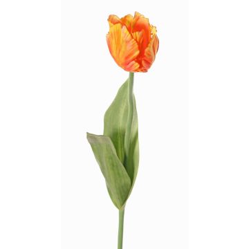 Kunstblume Papageientulpe UAKARI, orange-gelb, 65cm, Ø6cm Kunstblume Papageientulpe UAKARI, orange-gelb, 65cm, Ø6cm