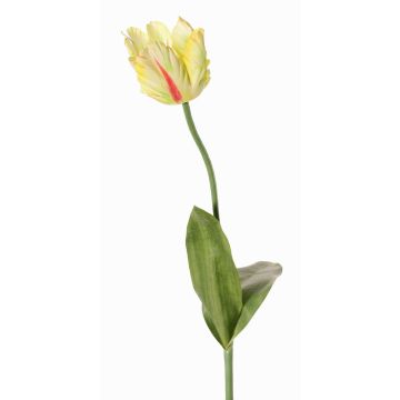 Kunstblume Papageientulpe UAKARI, gelb-grün-pink, 65cm, Ø6cm Kunstblume Papageientulpe UAKARI, gelb-grün-pink, 65cm, Ø6cm