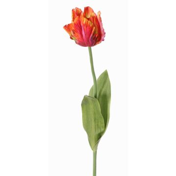 Kunstblume Papageientulpe UAKARI, rot-pink-orange-grün, 65cm, Ø6cm Kunstblume Papageientulpe UAKARI, rot-pink-orange-grün, 65cm, Ø6cm