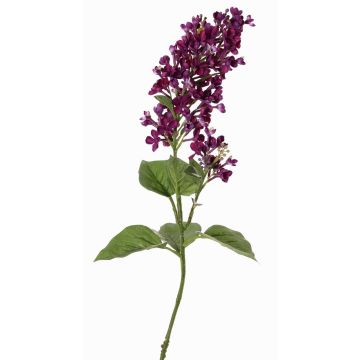 Deko Zweig Flieder ADMIR, dunkelviolett, 80cm, Ø6-9cm