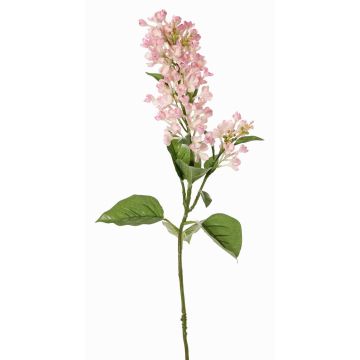 Deko Zweig Flieder ADMIR, rosa-creme, 80cm, Ø6-9cm