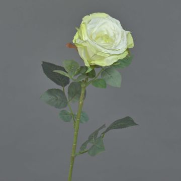 Fake Rose HUSA, weiß-grün, 75cm, Ø10cm