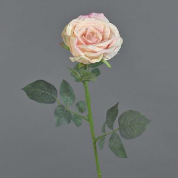 Fake Rose HUSA, rosa-creme, 75cm, Ø10cm