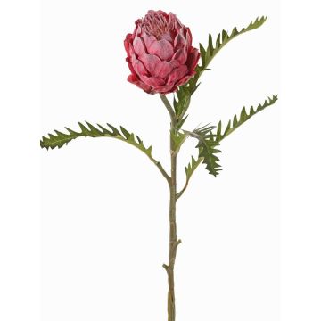 Unechte Protea BREGANSA, altpink, 65cm, Ø7cm