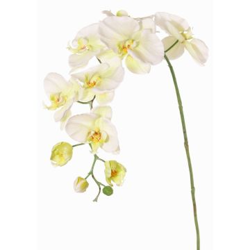 Dekozweig Phalaenopsis Orchidee WESA, weiß-grün, 90cm, Ø11-12,5cm
