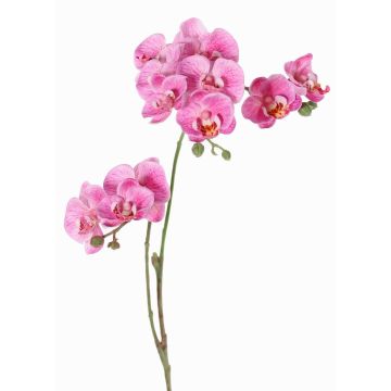 Kunstblumenzweig Phalaenopsis Orchidee VILLANI, rosa-pink, 60cm, Ø3,5-5cm
