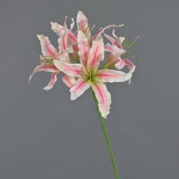 Kunstblume Gartenamaryllis KUSTANA, rosa-creme-grün, 70cm, Ø10-16cm