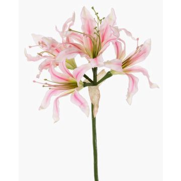 Kunstblume Gartenamaryllis KUSTANA, rosa-creme-grün, 70cm, Ø10-16cm