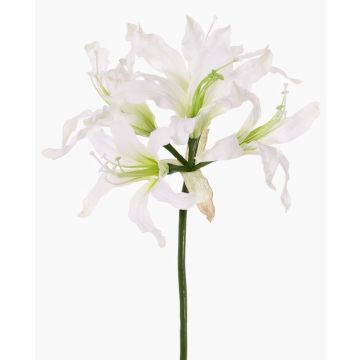 Kunstblume Gartenamaryllis KUSTANA, weiß-grün, 70cm, Ø10-16cm