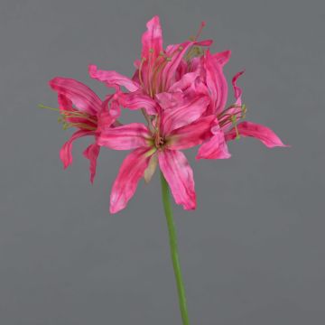 Kunstblume Gartenamaryllis KUSTANA, pink-grün, 70cm, Ø10-16cm