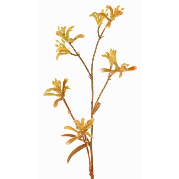 Deko Kängurublume LEOBER, gelb-orange, 75cm, Ø4-8cm Deko Kängurublume LEOBER, gelb-orange, 75cm, Ø4-8cm