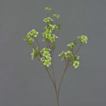 Teepflanze Zweig künstlich ZEWENGA mit Blüten, hellgrün, 85cm, Ø2,5-3cm