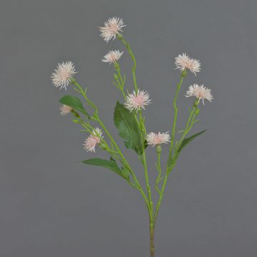 Künstliche Wiesen-Flockenblume HOLLA, zartrosa, 55cm, Ø3-4cm Künstliche Wiesen-Flockenblume HOLLA, zartrosa, 55cm, Ø3-4cm