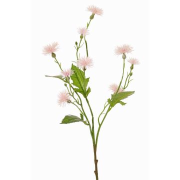 Künstliche Wiesen-Flockenblume HOLLA, zartrosa, 55cm, Ø3-4cm