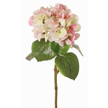 Hortensien Kunstblume CHIDORI, creme-pink-grün, 60cm, Ø18cm Hortensien Kunstblume CHIDORI, creme-pink-grün, 60cm, Ø18cm