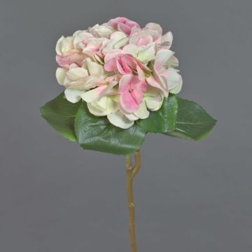 Hortensien Kunstblume CHIDORI, creme-pink-grün, 60cm, Ø18cm
