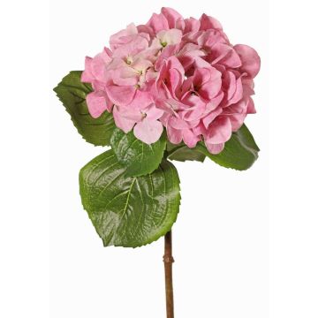 Hortensien Kunstblume CHIDORI, rosa-creme, 60cm, Ø18cm Hortensien Kunstblume CHIDORI, rosa-creme, 60cm, Ø18cm
