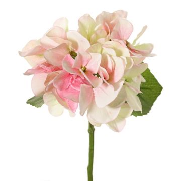 Hortensien Kunstblume CHIDORI, creme-pink-grün, 30cm, Ø13cm