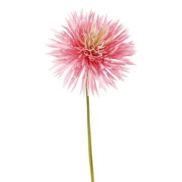 Künstliche Chrysantheme NANDITA, rosa-creme, 60cm, Ø15cm Künstliche Chrysantheme NANDITA, rosa-creme, 60cm, Ø15cm