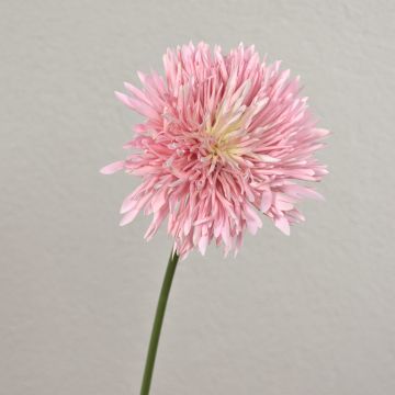 Künstliche Chrysantheme NANDITA, rosa-creme, 60cm, Ø15cm