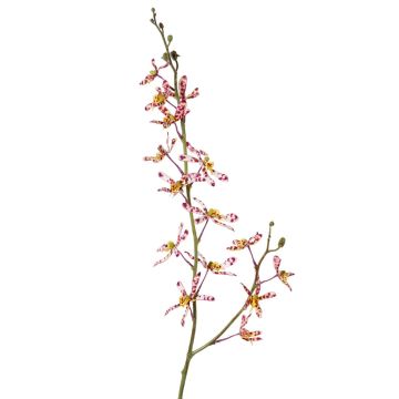 Künstlicher Cattleya Orchideenzweig TRASSA, violett-weiß-gelb, 80cm, Ø4-8cm Künstlicher Cattleya Orchideenzweig TRASSA, violett-weiß-gelb, 80cm, Ø4-8cm