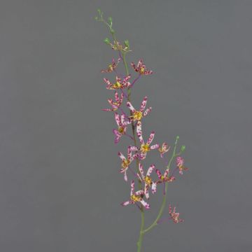 Künstlicher Cattleya Orchideenzweig TRASSA, violett-weiß-gelb, 80cm, Ø4-8cm