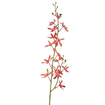 Künstlicher Cattleya Orchideenzweig TRASSA, rot-orange, 80cm, Ø4-8cm Künstlicher Cattleya Orchideenzweig TRASSA, rot-orange, 80cm, Ø4-8cm