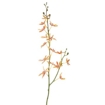 Künstlicher Cattleya Orchideenzweig TRASSA, orange-gelb-rot, 80cm, Ø4-8cm Künstlicher Cattleya Orchideenzweig TRASSA, orange-gelb-rot, 80cm, Ø4-8cm