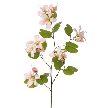 Kunstblumenzweig Bauhinia ENSANA, zartrosa, 120cm