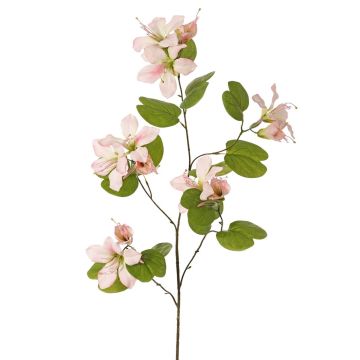 Kunstblumenzweig Bauhinia ENSANA, zartrosa, 120cm