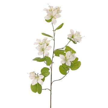 Kunstblumenzweig Bauhinia ENSANA, weiß, 120cm