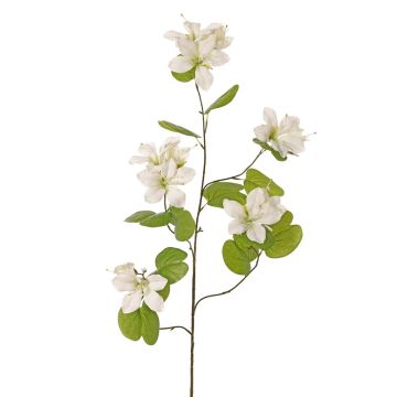 Kunstblumenzweig Bauhinia ENSANA, weiß, 120cm