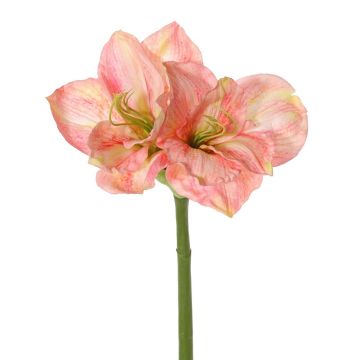 Amaryllis künstlich NARWELA, pink-rosa-grün, 70cm, Ø10-13cm