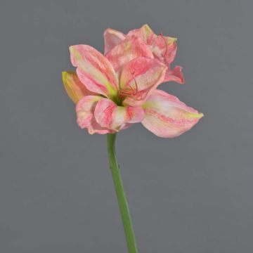 Amaryllis künstlich NARWELA, pink-rosa-grün, 70cm, Ø10-13cm