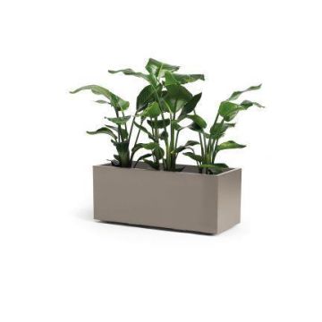 Rechteckiger Blumenkasten NASTASJA aus recyceltem Kunststoff, mit Wasserspeicher, Bodenrollen, taupe, 99,5x39,5x38cm, 102L Rechteckiger Blumenkasten NASTASJA aus recyceltem Kunststoff, mit Wasserspeicher, Bodenrollen, taupe, 99,5x39,5x38cm, 102L