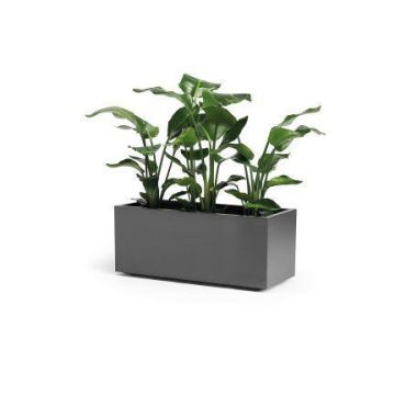 Rechteckiger Blumenkasten NASTASJA aus recyceltem Kunststoff, mit Wasserspeicher, Bodenrollen, anthrazit, 99,5x39,5x38cm, 102L Rechteckiger Blumenkasten NASTASJA aus recyceltem Kunststoff, mit Wasserspeicher, Bodenrollen, anthrazit, 99,5x39,5x38cm, 102L