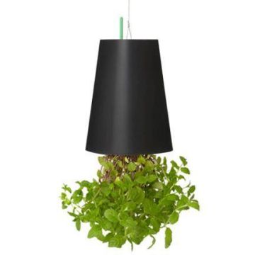 Kunst Minze Hänger LEVONT im Dekotopf, grün, 19cm, Ø14cm