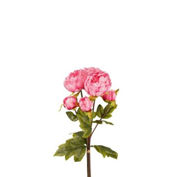 Pfingstrosen Bund künstlich VATANA, pink, 50cm, Ø18cm