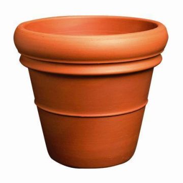 Terrakotta Pflanztopf LUTHEN mit Doppelrand, outdoor, 45cm, Ø52cm Terrakotta Pflanztopf LUTHEN mit Doppelrand, outdoor, 45cm, Ø52cm