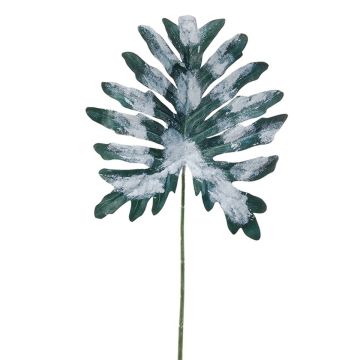 Kunstblatt Philodendron Selloum ELUANA, gefroren, grün-weiß, 75cm Kunstblatt Philodendron Selloum ELUANA, gefroren, grün-weiß, 75cm