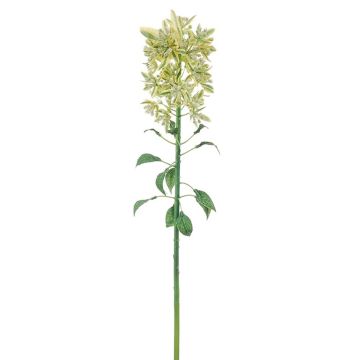 Kunstblume Euphorbia marginata LILWENA, grün-gelb, 85cm