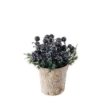Künstliches Gesteck Apfelbeere, Kiefer ZENSA, Dekotopf, schwarz, 13cm, Ø12cm Künstliches Gesteck Apfelbeere, Kiefer ZENSA, Dekotopf, schwarz, 13cm, Ø12cm