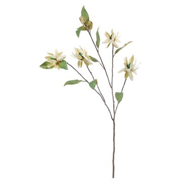 Kunstzweig Königs-Protea TERIANNA, creme, 100cm Kunstzweig Königs-Protea TERIANNA, creme, 100cm