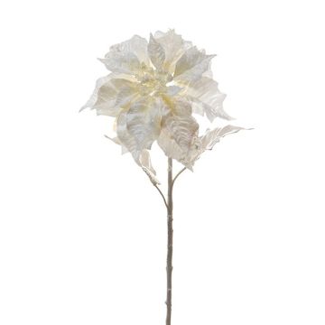 Kunstblume Weihnachtsstern SIRAMMA, Glitzer, perlmutt, 80cm Kunstblume Weihnachtsstern SIRAMMA, Glitzer, perlmutt, 80cm