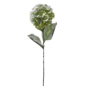 Kunstblume Hortensie TILANNA, beschneit, grün, 70cm Kunstblume Hortensie TILANNA, beschneit, grün, 70cm