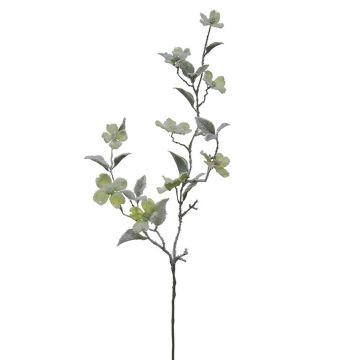 Kunstzweig Hartriegel BIERNATI mit Blüten, beschneit, grün, 90cm