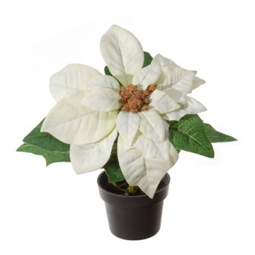 Kunstblume Weihnachtsstern TIENNA im Dekotopf, weiß, 20cm Kunstblume Weihnachtsstern TIENNA im Dekotopf, weiß, 20cm