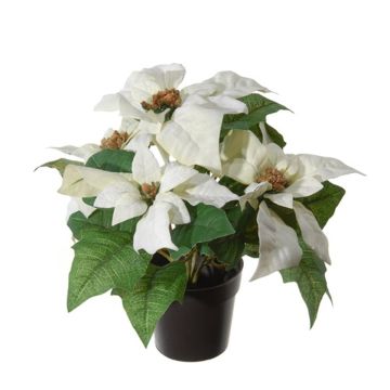 Kunstblume Weihnachtsstern DANNIA im Dekotopf, weiß, 25cm Kunstblume Weihnachtsstern DANNIA im Dekotopf, weiß, 25cm