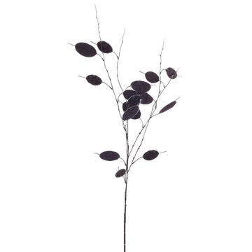 Kunstzweig Silberblatt PIORENA, schwarz, 80cm Kunstzweig Silberblatt PIORENA, schwarz, 80cm
